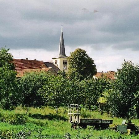 Pension "Am Tor Zum Mainbogen" Grettstadt Bagian luar foto